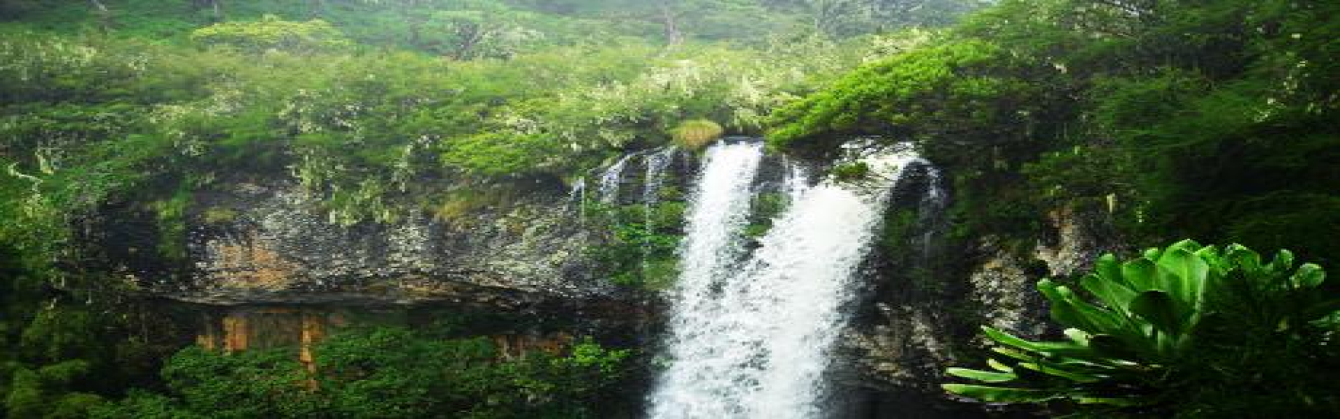 aberdare national park